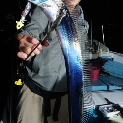 シースナイパー海龍 釣果