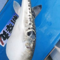 新幸丸 釣果