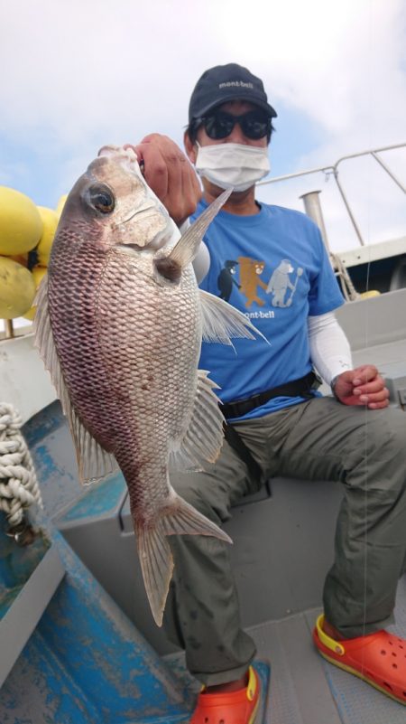 だて丸 釣果