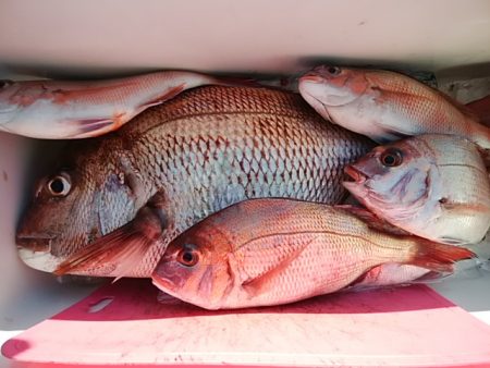 鴨下丸 釣果