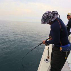 エル・クルーズ 釣果