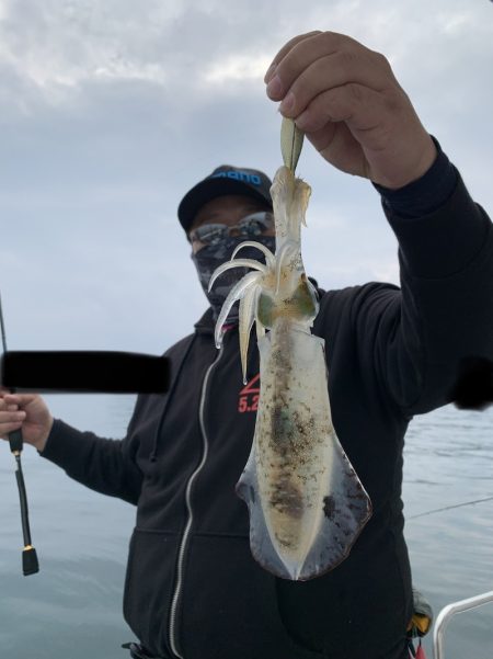 きずなまりん 釣果