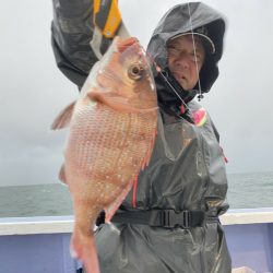 新幸丸 釣果