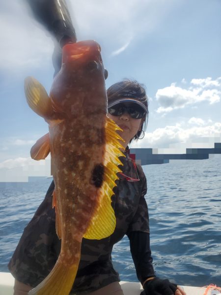 ソルトウォーターガイドフレンズ 釣果