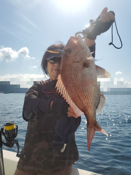 ソルトウォーターガイドフレンズ 釣果