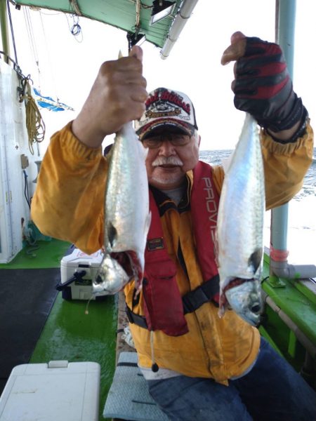 小島丸 釣果