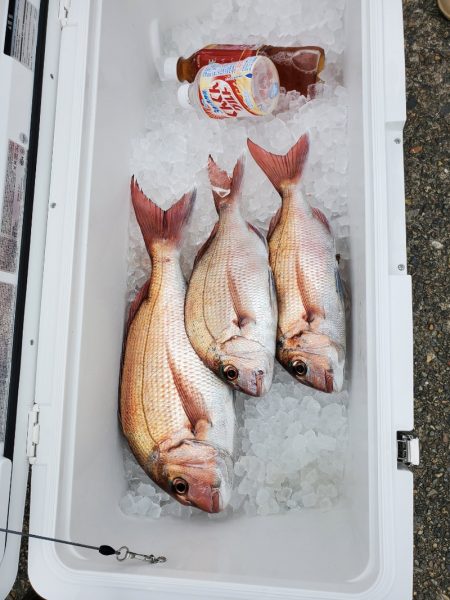 富士丸 釣果