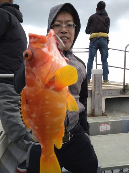 光生丸 釣果