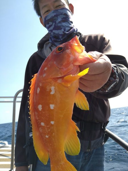 光生丸 釣果