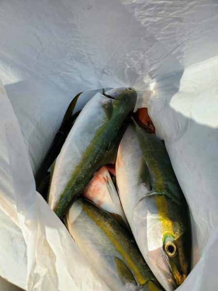 海龍丸（石川） 釣果