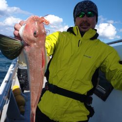 ありもと丸 釣果