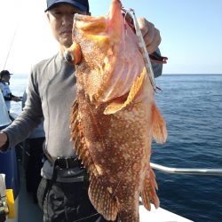 光生丸 釣果