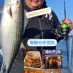 龍神丸（鹿児島） 釣果