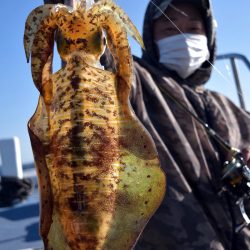 渡船屋たにぐち 釣果