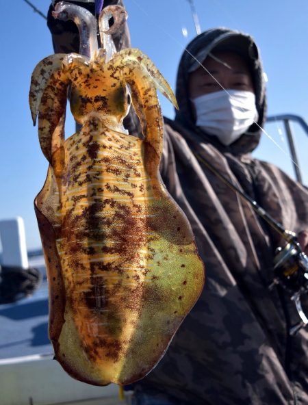 渡船屋たにぐち 釣果