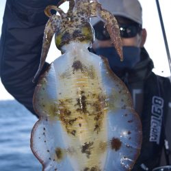 渡船屋たにぐち 釣果