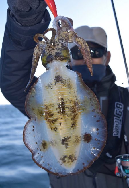 渡船屋たにぐち 釣果