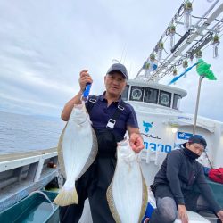 シーランチ 釣果