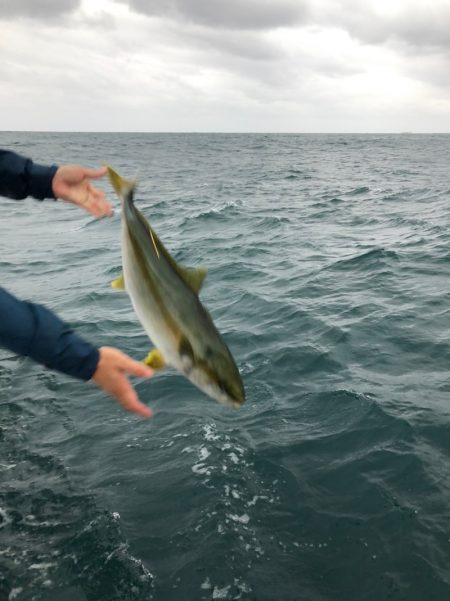 山正丸 釣果