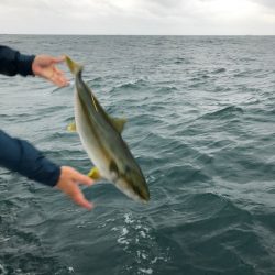 山正丸 釣果