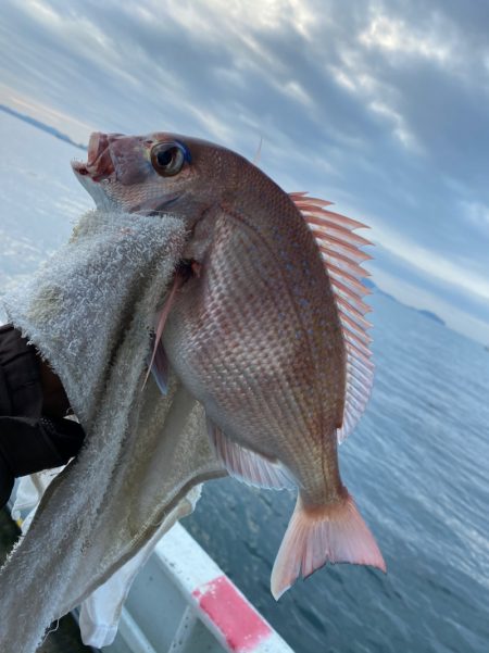 美宝丸 釣果