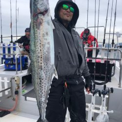 ビッグファイター 釣果