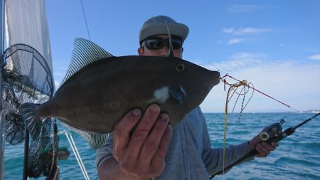 遊漁船　家入 釣果