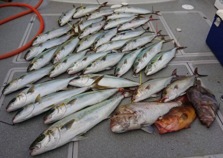 宝生丸 釣果