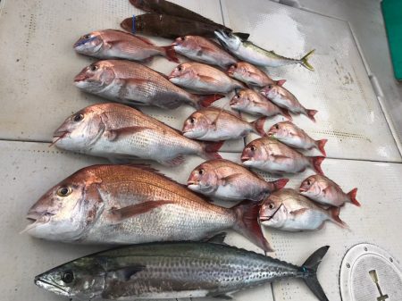 大雄丸 釣果