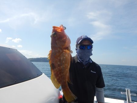 きずなまりん 釣果