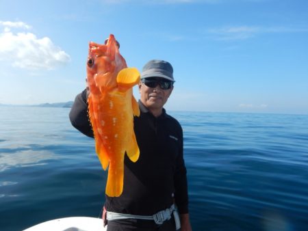 きずなまりん 釣果