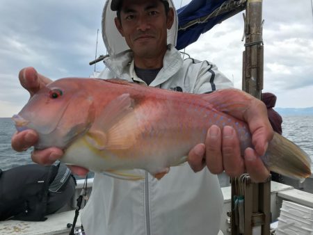 ランスルー 釣果