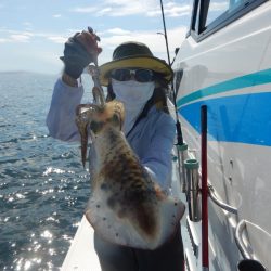 きずなまりん 釣果