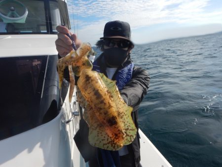 きずなまりん 釣果