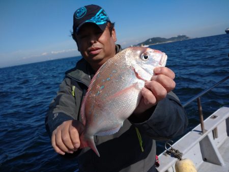 ありもと丸 釣果