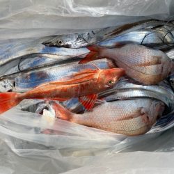 ぽん助丸 釣果