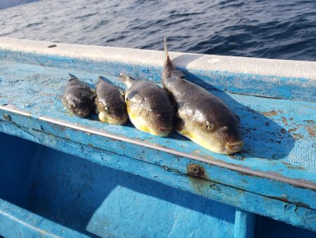 さち丸 釣果