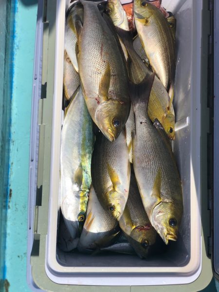 丸万釣船 釣果