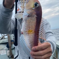 あみや渡船 JIGBOY 釣果