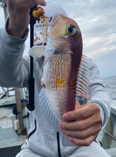 あみや渡船 JIGBOY 釣果