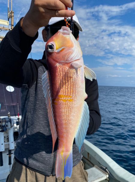 あみや渡船 JIGBOY 釣果