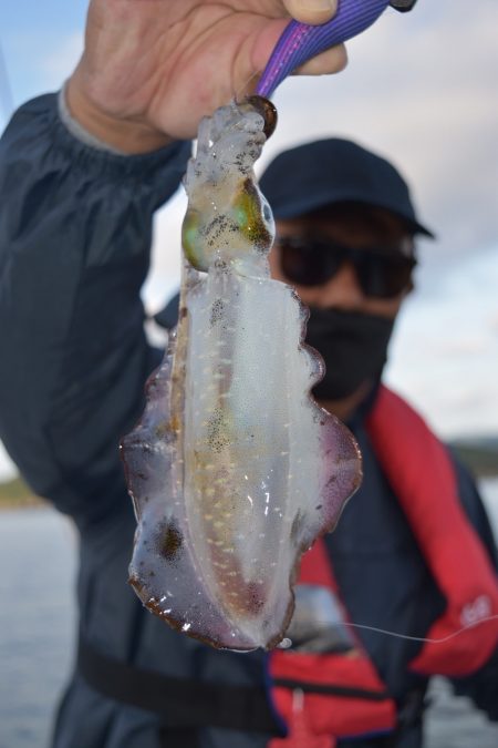 渡船屋たにぐち 釣果