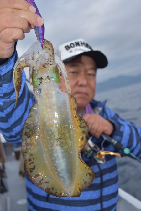 渡船屋たにぐち 釣果