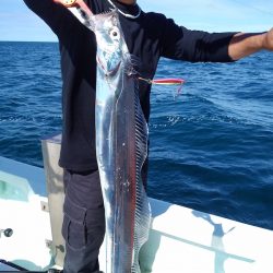 ひな丸 釣果