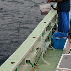 米丸 釣果