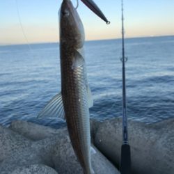 今日は、釣れない日？