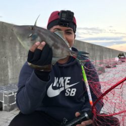 ショアジギング　呑ませ釣り　ぶっ込み