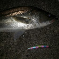 夜練釣行