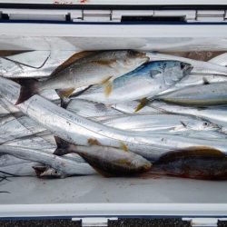 康仁丸・タチ釣り・釣り果