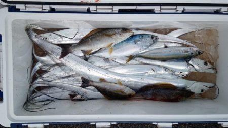 康仁丸・タチ釣り・釣り果